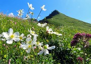 Baite di Mezzeno-Lago Branchino, festa di fiori-22giu26- FOTOGALLERY
